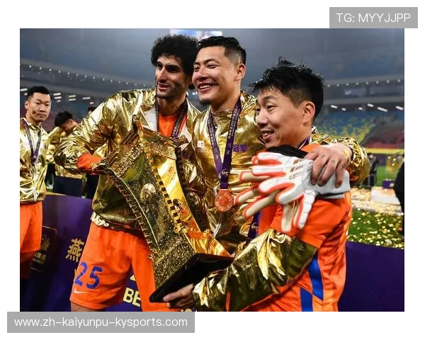 银杯背后的荣耀与传奇欧冠历届冠军全景回顾与深度解析